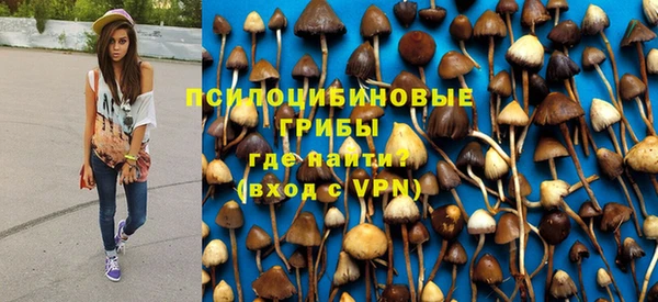 ПСИЛОЦИБИНОВЫЕ ГРИБЫ Горняк