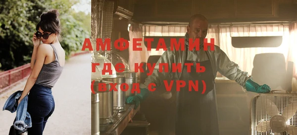 ПСИЛОЦИБИНОВЫЕ ГРИБЫ Горняк