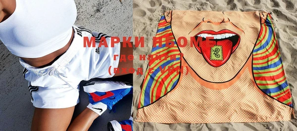ПСИЛОЦИБИНОВЫЕ ГРИБЫ Горняк