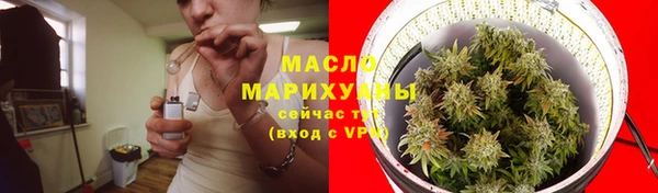 ПСИЛОЦИБИНОВЫЕ ГРИБЫ Горняк