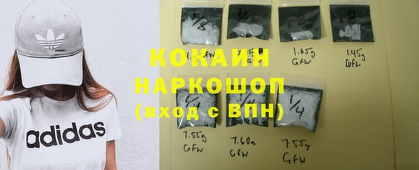 ПСИЛОЦИБИНОВЫЕ ГРИБЫ Горняк