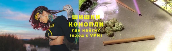 ПСИЛОЦИБИНОВЫЕ ГРИБЫ Горняк