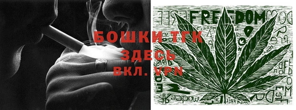 ПСИЛОЦИБИНОВЫЕ ГРИБЫ Горняк