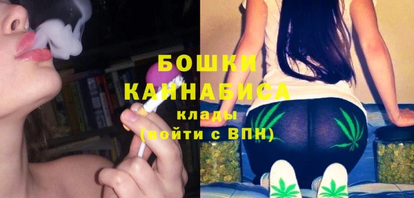 ПСИЛОЦИБИНОВЫЕ ГРИБЫ Горняк
