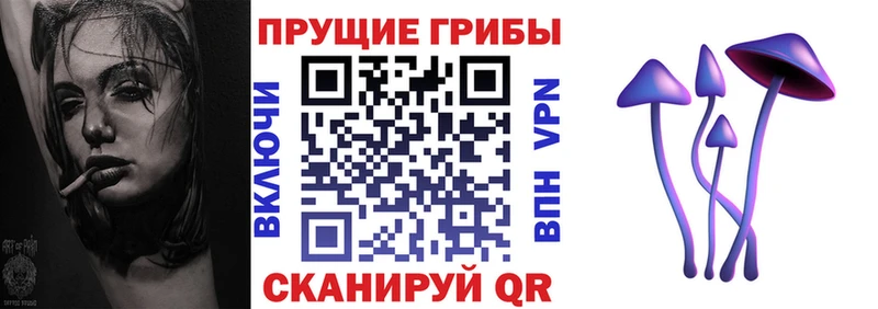 Галлюциногенные грибы Psilocybe  Купить  Верхоянск 